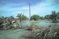 إعصار جونو