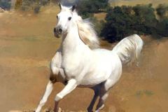 خيل