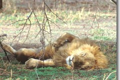 نوم الظالم عبادة