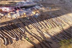 قتلوها بكل وحشيه 2