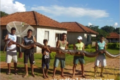 قتلوها بكل وحشيه 3