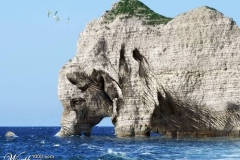 صخره على  شكل  فيل