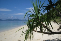 الجبال والسهول6