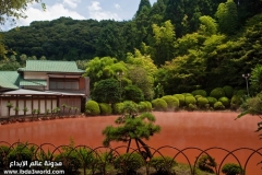 الجبال والسهول2