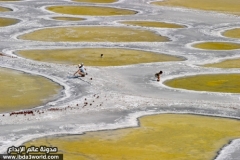 الجبال والسهول13