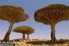 الجبال والسهول12