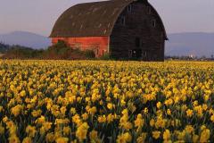 الجبال والسهول2