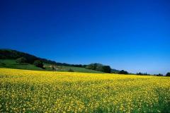 الجبال والسهول4