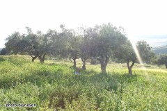 الجبال والسهول15