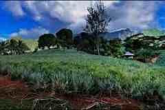 الجبال والسهول2