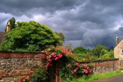 مناظر جميله