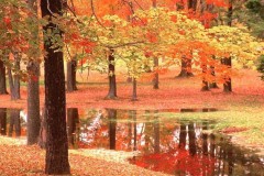 مناظر جميله