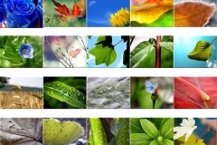 مناظر جميله