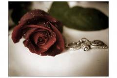 مناظر جميله