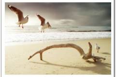 مناظر جميله