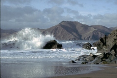 الحدائق والروابي14