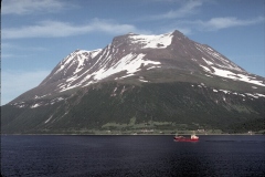 الحدائق والروابي15