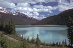 الحدائق والروابي5