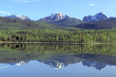 الحدائق والروابي9