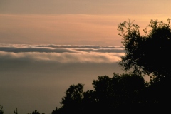 الحدائق والروابي12