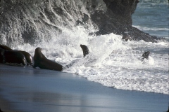 الحدائق والروابي13