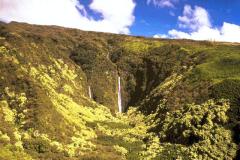 الحدائق والروابي3