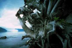 الحدائق والروابي5