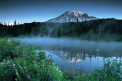 طبيعة ساحرة