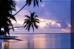 طبيعة ساحرة