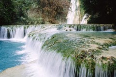 الطبيعة