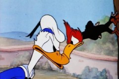 صور الكرتونية الأجنبية7