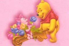 Disney Land - Mickey Mouse4
