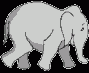فيل  Elephant 14