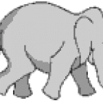 فيل  Elephant 14