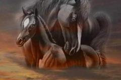 خيول horses14