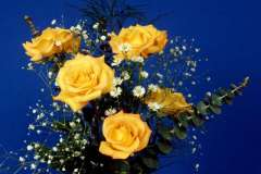 ورود وأزهار