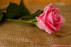 ورود وزهور1