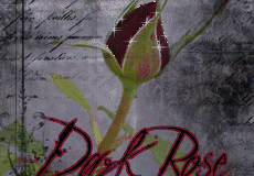 ورود وزهور1