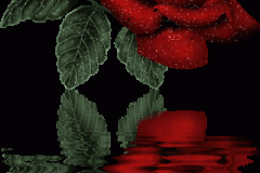 ورود وزهور1