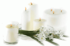 ورود وزهور1