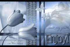 ورود وزهور1