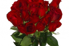bouquet-zoom-bouquet-exotique-bouquet-de-rose-rouge