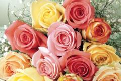 ورود وزهور3