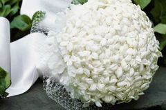 ورود وزهور5