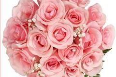 ورود وزهور7