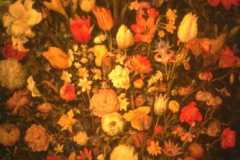 ورود وزهور6