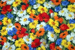 ورود وزهور6