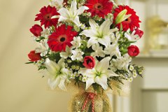 Fields of Europe™ for Chr