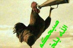 بطاقة الصباح