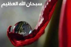 بطاقة الصباح